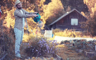 Man farmer watering a vegetable garden