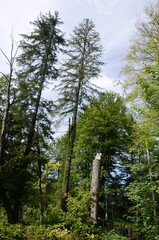 Croatie : Parc national des lacs de Plitvice (Dalmatie du Nord)