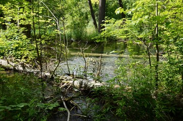 Croatie : Parc national des lacs de Plitvice (Dalmatie du Nord)