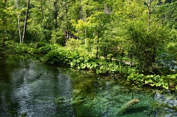 Naklejka na ściany i meble Croatie : Parc national des lacs de Plitvice (Dalmatie du Nord)
