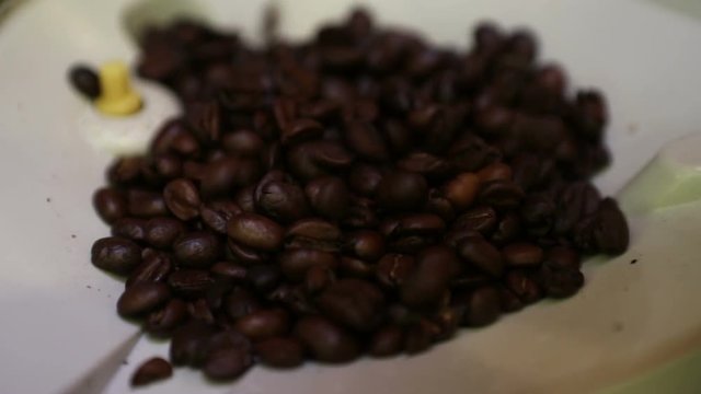 Fragrant coffee beans poured into the boot tray of the coffee machine close-up
