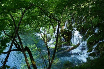 Croatie : Parc national des lacs de Plitvice (Dalmatie du Nord)