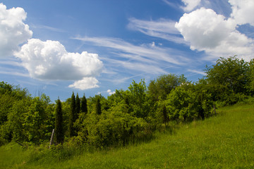 Fototapeta na wymiar Field of green grass in the hilly landscape