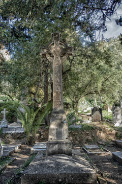 antiguo cementerio ingles de la provincia de M&aacute;laga	