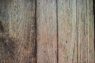 Bark old wood texture background