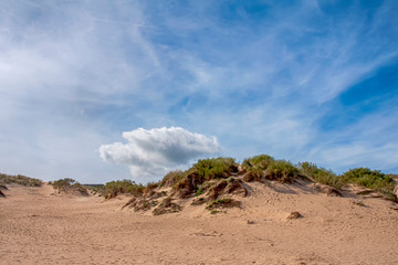 duna de arena de Valdevaqueros en la costa de Tarifa, Andalucía