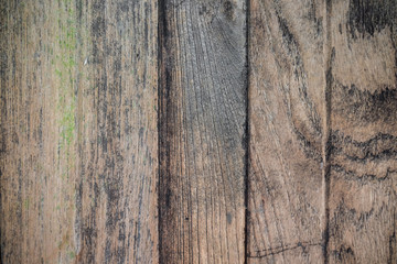 Bark old wood texture background