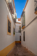 Fototapeta na wymiar Paseo por el casco histórico de la ciudad de Córdoba, Andalucía