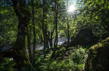 Magnificent view  early midsummer morning in Norway. Hike through the forest to 218 metre high Feigefossen (Feigumfossen) waterfall. Mystical feeling, sun shining through the foliage, river streaming.