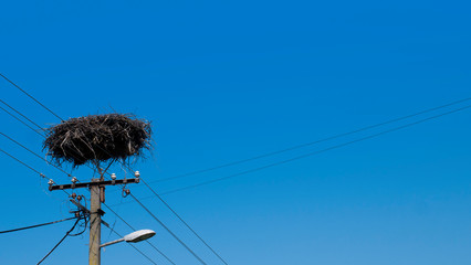  Empty stork nest made with branches at the top of an electrical tower on a blue sky background