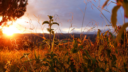 Sonnenuntergang auf Feld in Barbosa, Santander, Kolumbien