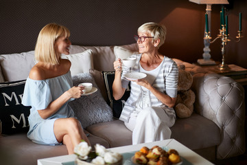 Obraz na płótnie Canvas Women in pleasant talk at home