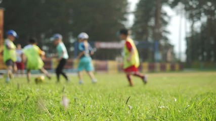 Children Training Playing Football Outdoor Stadium. Elementary school kids chasing football in a field. Boys play soccer in summer. - Powered by Adobe