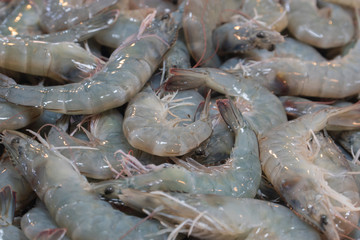 Fresh shrimp in the market