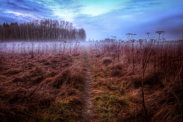 Field in mist with a path going through