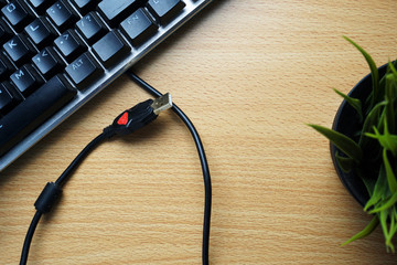 mouse and computer keyboard