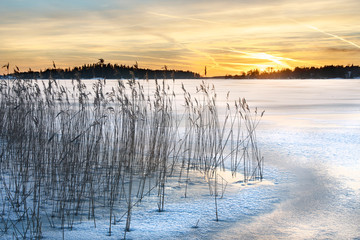 Hay at shore during winter
