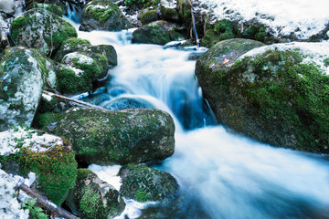 Forest stream during spring in Nuuksio national park, Finland