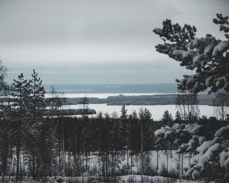 View of a snow covered lake and forest