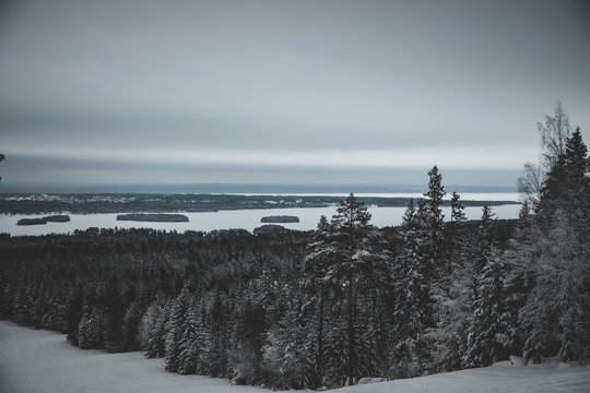 Winter forest and a snow covered lake