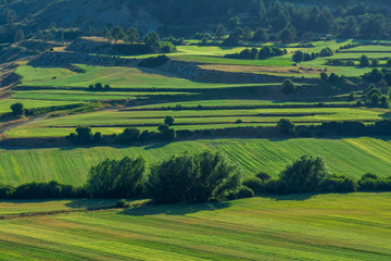 Fototapeta premium Paisaje