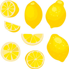 lemon, whole fruit, whole and slices of lemon, vector illustration. poster, emblem natural product, farmers market