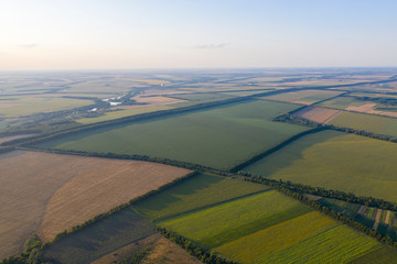 Geometric figures in the fields of the farm in the village from the height of the bird's eye....