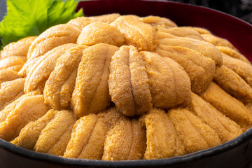 新鮮で美味しい雲丹