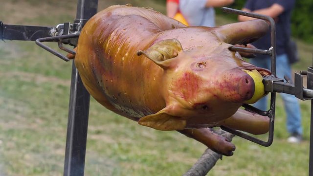 Pig spit roast at Slavic Viking Festival tournament