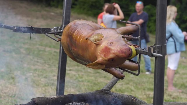 LOCKED OFF view of Pig spit roast at Slavic Viking Festival tournament