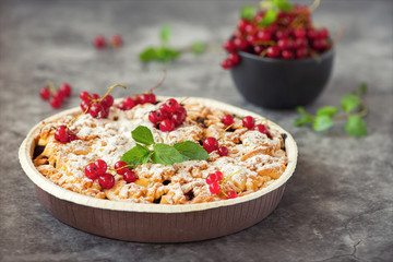 tasty homemade pie and fresh red currants in dark bowl on grey background