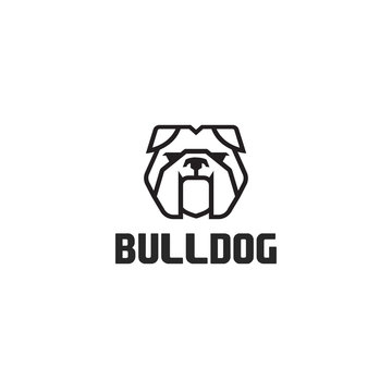 Bulldog logo vector design template in isolated white background