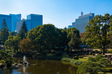 Cityscape of central Tokyo at Hibiya park in Chiyoda, Tokyo, Japan