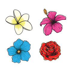 hand drawn illustration of tropical flower vector