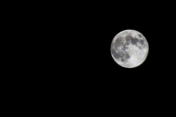 Obraz premium full moon in the sky