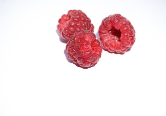 a few raspberries on white background