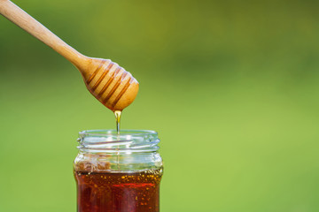 Honey dripping from honey dipper on natural green background