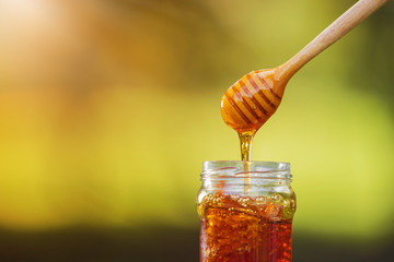 Honey dripping from honey dipper on natural background