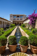 Granada, Andalucia / Spain »; July 2018: Water jets in the gardens of Generalife Alhambra, vertical photo