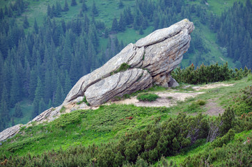 Summer Carpathian mountain landscape.
