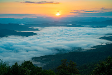 Fototapeta premium Mountain fox under the sunnset 