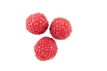 Three red raspberry Berries isolated on white background. The view from the top.