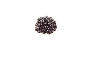 Blackberry berry isolated on white background. The view from the top.