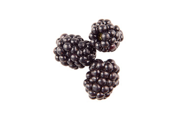 Three blackberries berries isolated on white background. The view from the top.