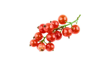 Bunch of red currants isolated on a white background. The view from the top.