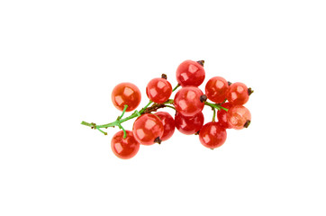 Bunch of red currants isolated on a white background. The view from the top.