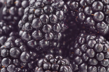 Delicious fresh and sweet blackberries as food background. Healthy food organic nutrition.