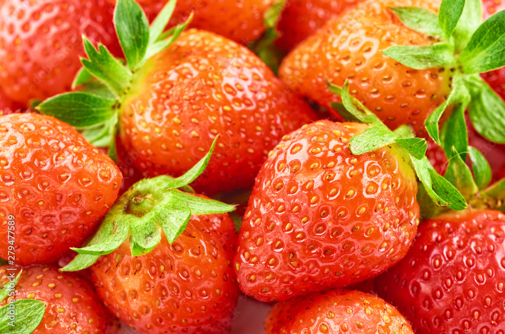 Wall mural delicious fresh and sweet strawberry as food background. healthy food organic nutrition.