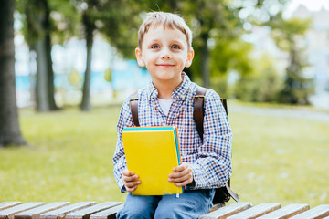 Portrait of happy adorable little kid boy holding different colorful books on first day to school...