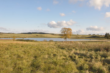 Jeziorany